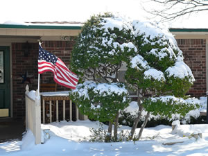 View of snow around Lubbock on Tuesday, February 23, 2010. Click on the image for a larger view.