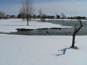 View of snow around Lubbock on Tuesday, February 23, 2010. Click on the image for a larger view.