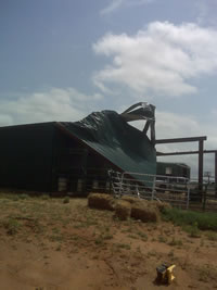 Damage near Turkey done by strong straight line wind early on June 14, 2010.