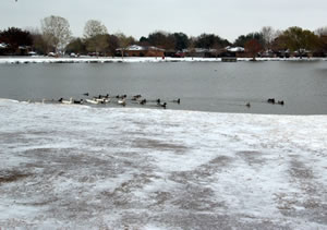 Picture of Phil Hoel Park, in Lubbock, taken on 5 December 2011. Click on the image for a larger view.