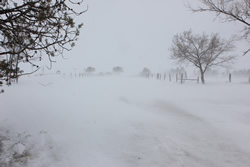 Photo courtesy Kristina Alexander, near Tulia.