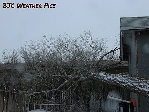 Impacts felt in Ropesville from the snow and wind. Picture courtesy of Brandan Cruz.Click on the image for a bigger view.