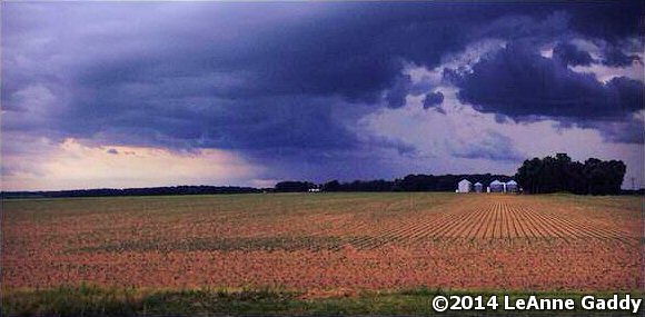 A field was turned into a lake at McCrory (Woodruff County) on 06/29/2014.