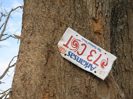 A license plate was driven into a tree by a tornado (rated EF4) near Zion (Izard County) on 02/05/2008.