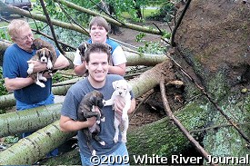 While trees were downed on dog pens at Des Arc (Prairie County), there were many happy survivors.