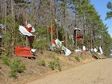 Tin from a barn was strewn through the trees near Bee Branch (Van Buren County) following a strong (F2) tornado on 11/27/2005.