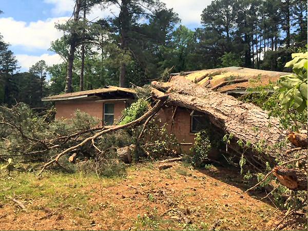 Damaging straight-line winds downed trees on houses at Camden (Ouachita County) on 04/30/2016.