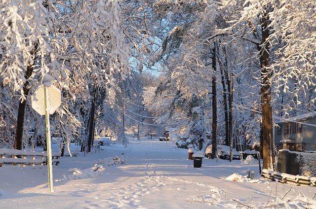 It was a winter wonderland in Sherwood (Pulaski County) following an extremely rare Christmas snowstorm on 12/25/2012 and early the next morning. At Little Rock National Airport (Pulaski County), 10.3 inches of snow was measured.