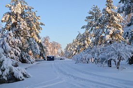 t was a winter wonderland at this apartment complex at Brockington Road and East Maryland Avenue.