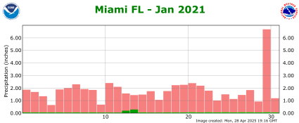 January rainfall 2021