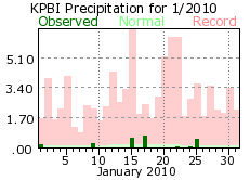 January rainfall