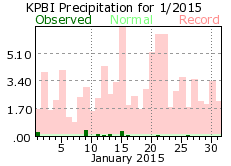 January rainfall 2015