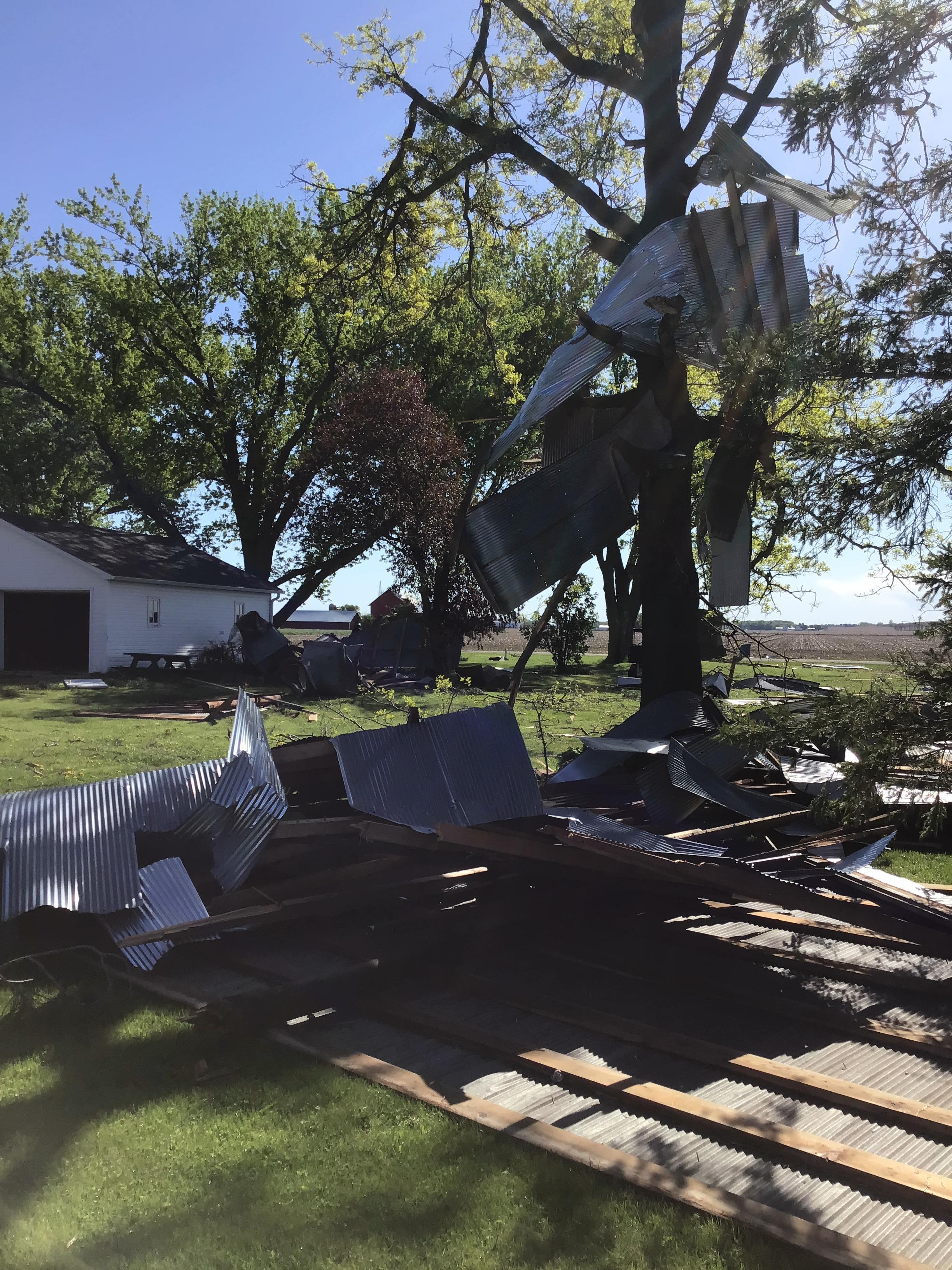 Photo of sheet metal stuck in the middle of a large tree