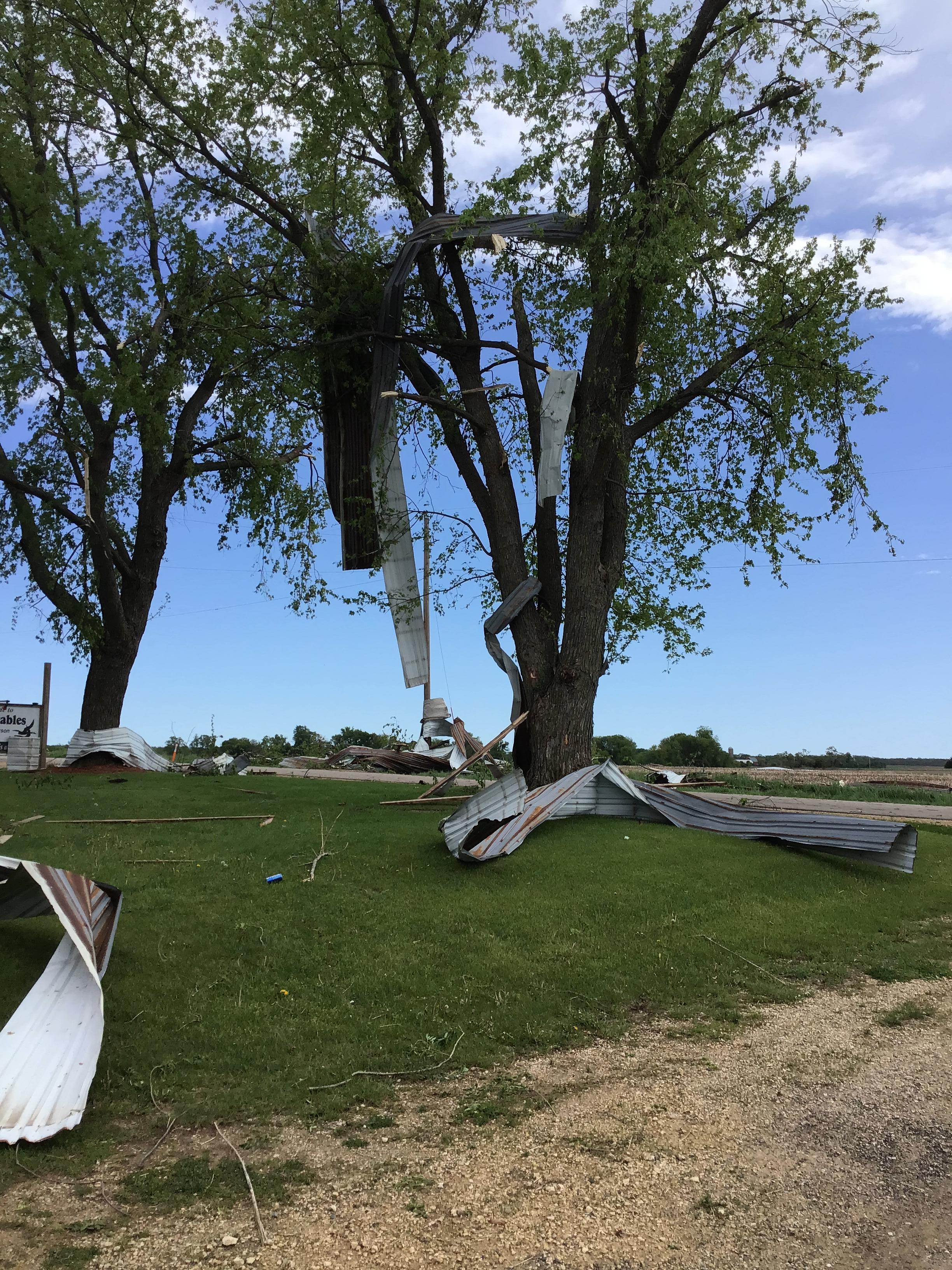 Photo of sheet metal from the horse stable that was lofted and stuck in a tree and dispersed around yard