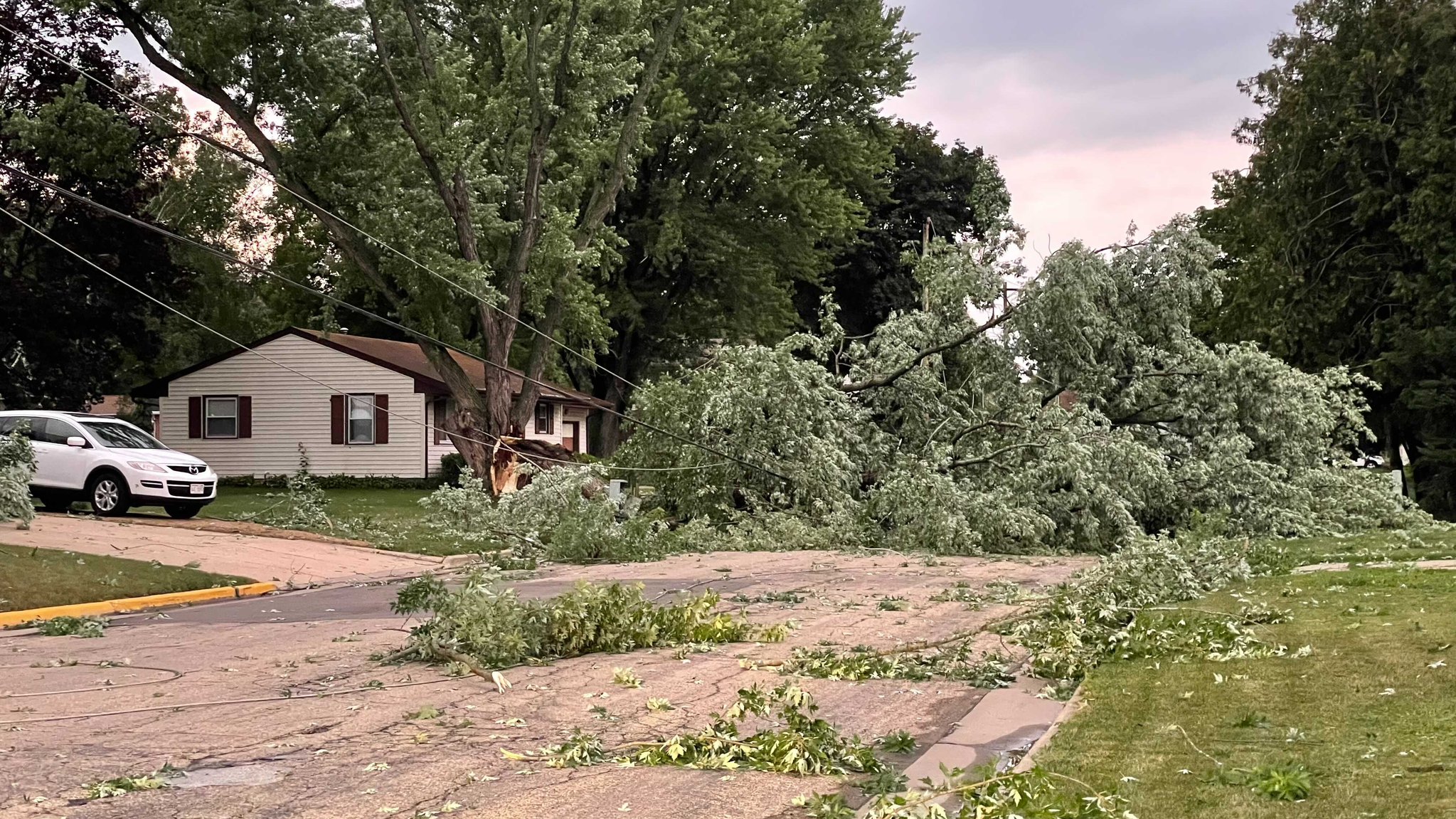 Cross Plains Wind Damage