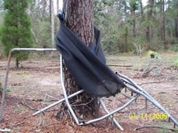 Trampoline wrapped around tree