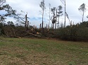 Crenshaw County Damage 5