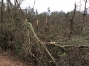 Crenshaw County Damage 6