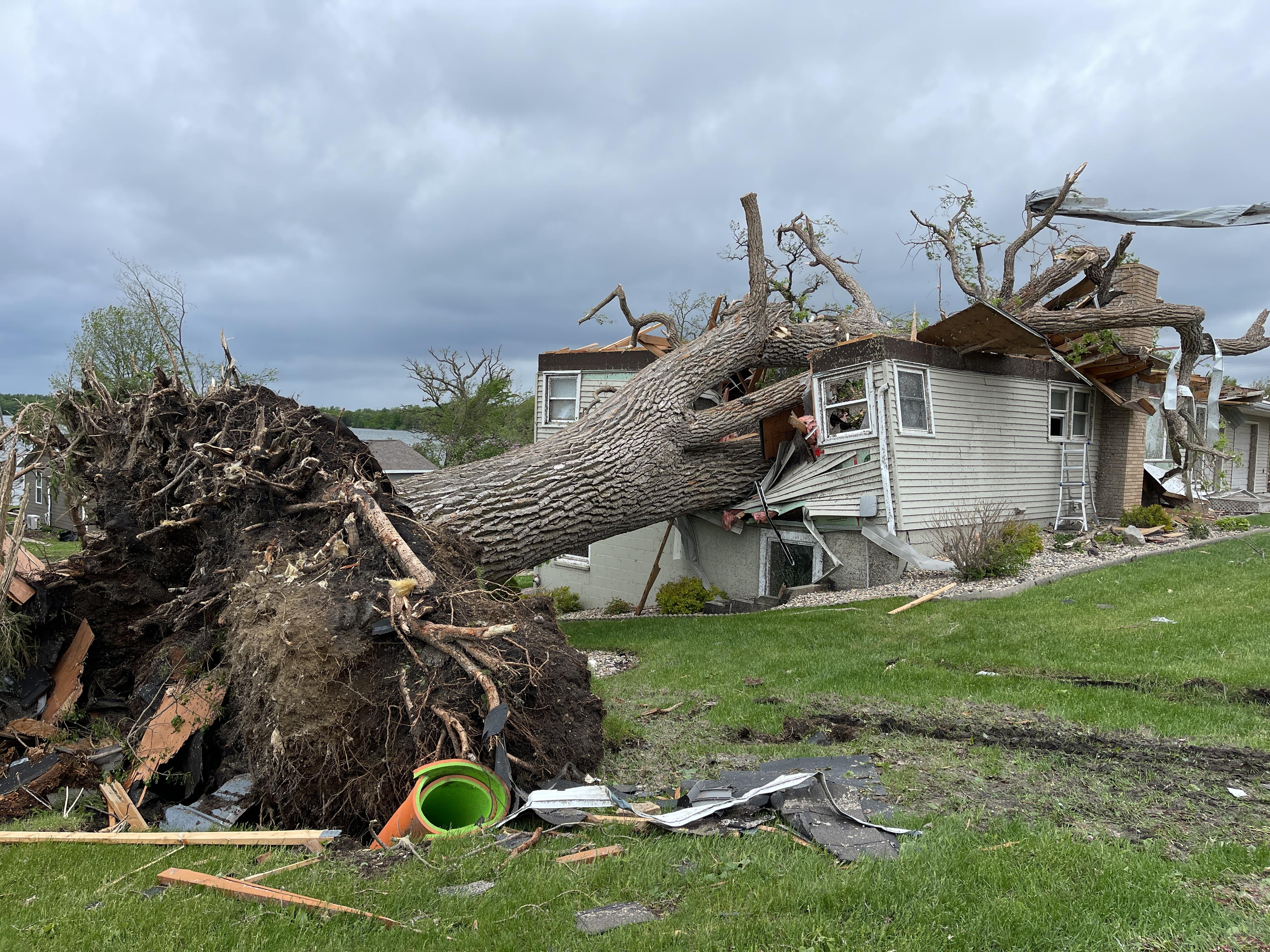 Damaged homes, cars, and trees in Forada Minnesota