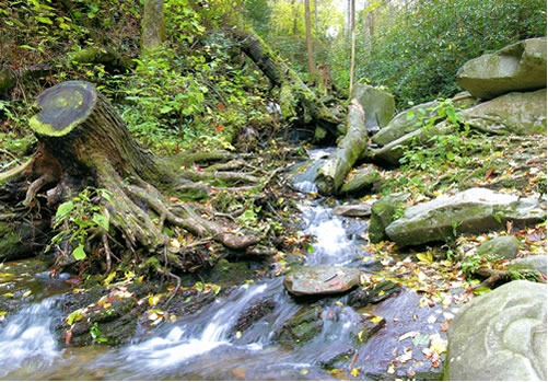 East TN Stream Image