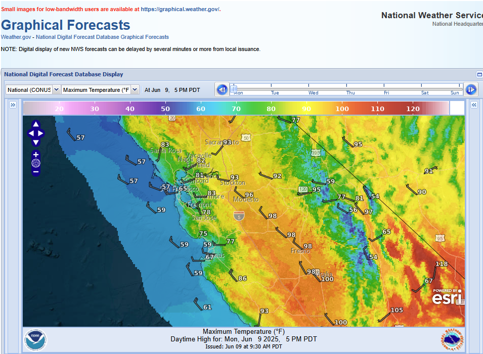 Local Graphical Forecast