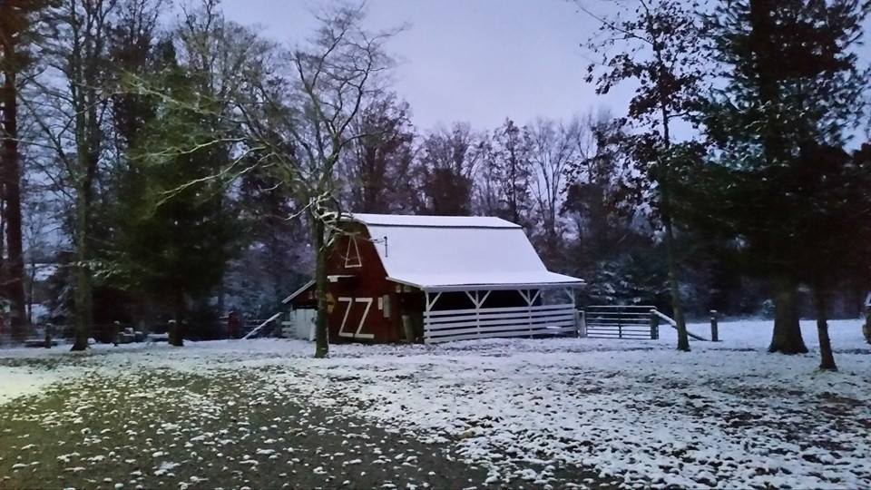 Halloween 2014 Night Snow