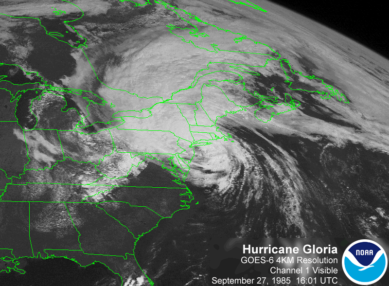 Tropical Weather Image