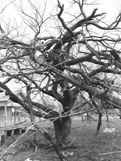 Tornado damage in Lawton, Oklahoma. Photo courtesy of the Lawton Constitution.