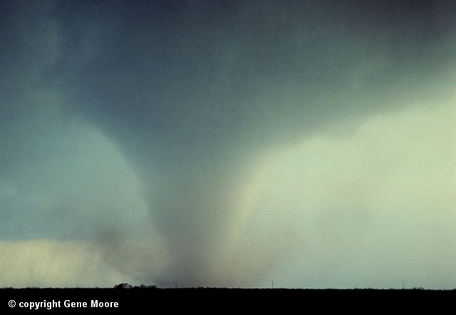 Tornado at maturity