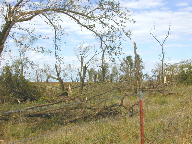 Tornado