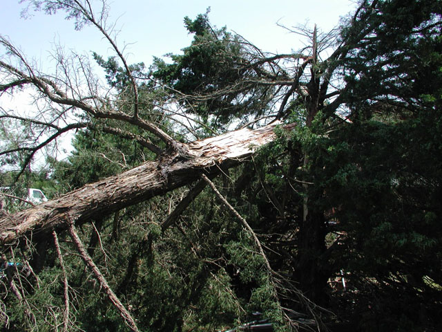 May 9, 2003 tornado damage photo