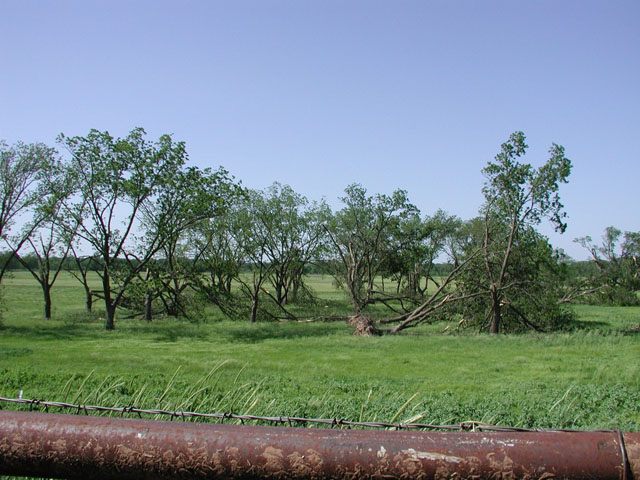 May 9, 2003 tornado damage photo