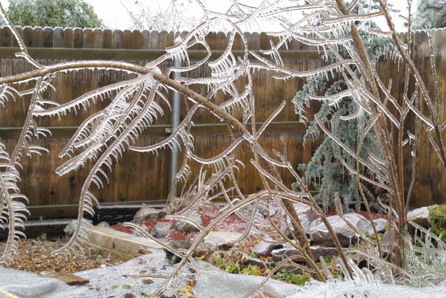 Ice Storm Photo