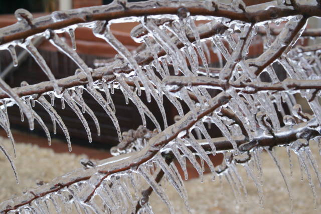 Ice Storm Photo