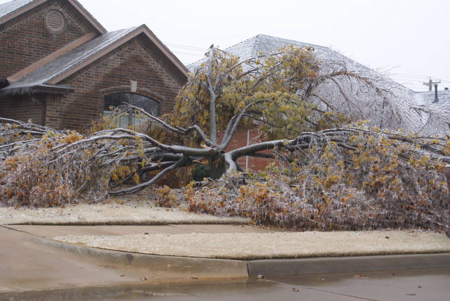 Ice Storm Photo