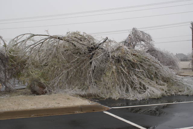 Ice Storm Photo