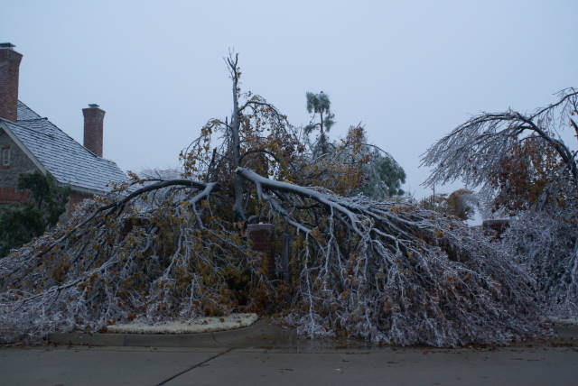 Ice Storm Photo