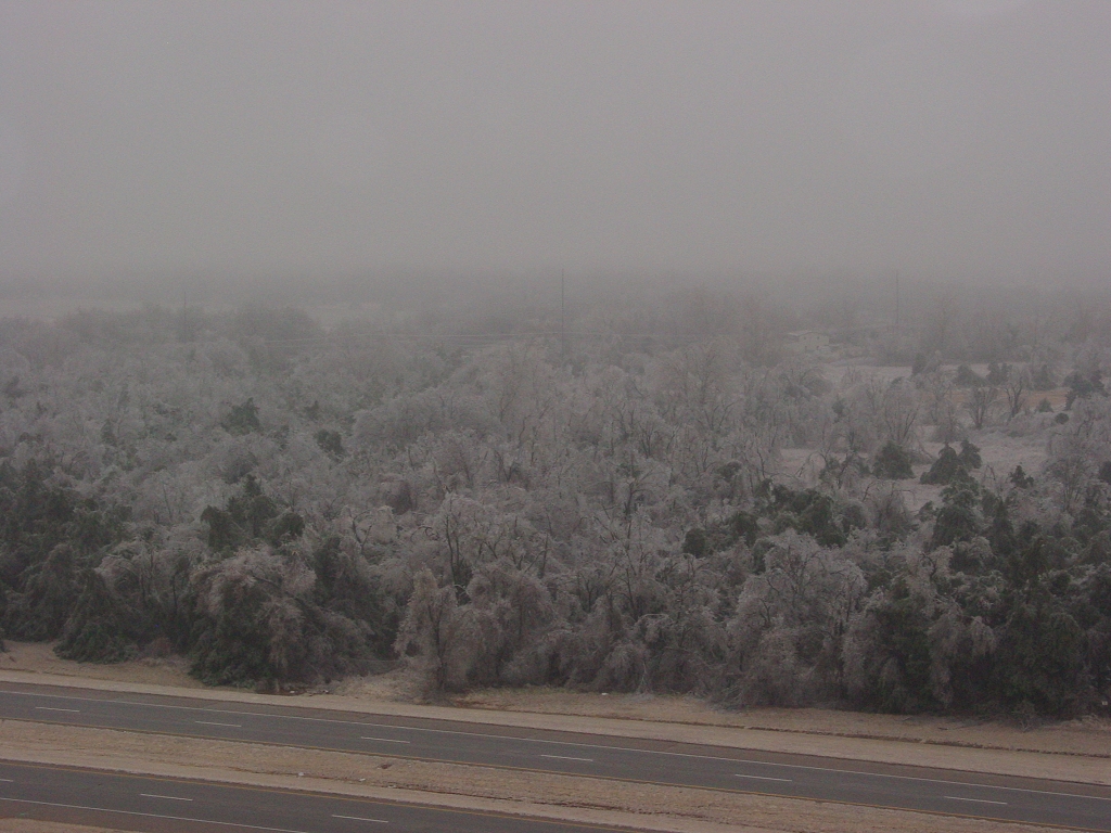 Ice Storm Photo