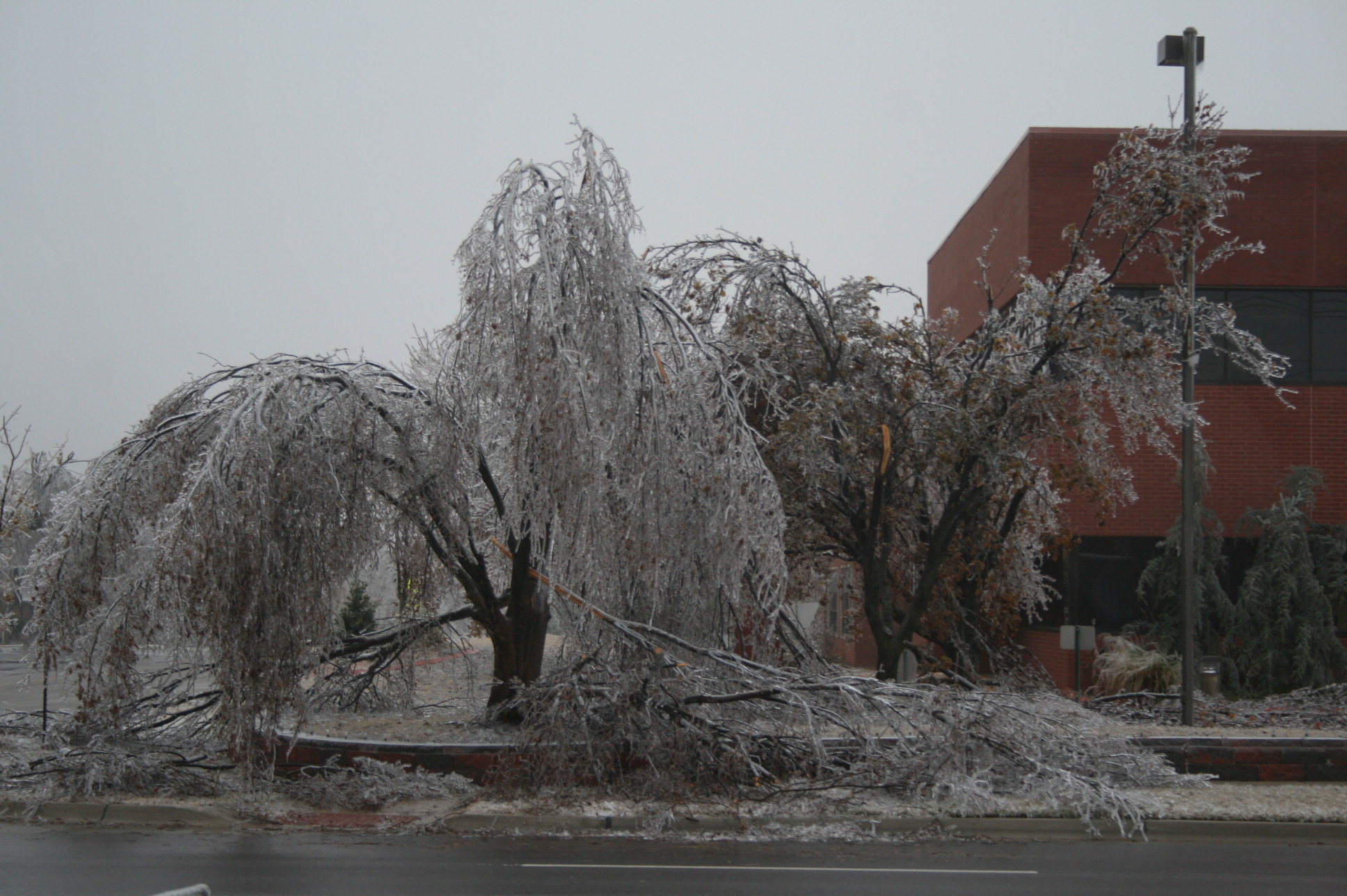 Ice Storm Photo