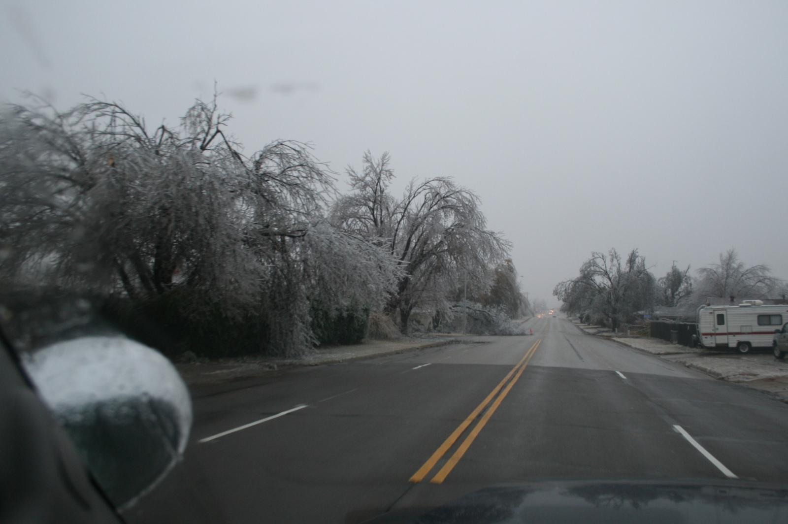 Ice Storm Photo