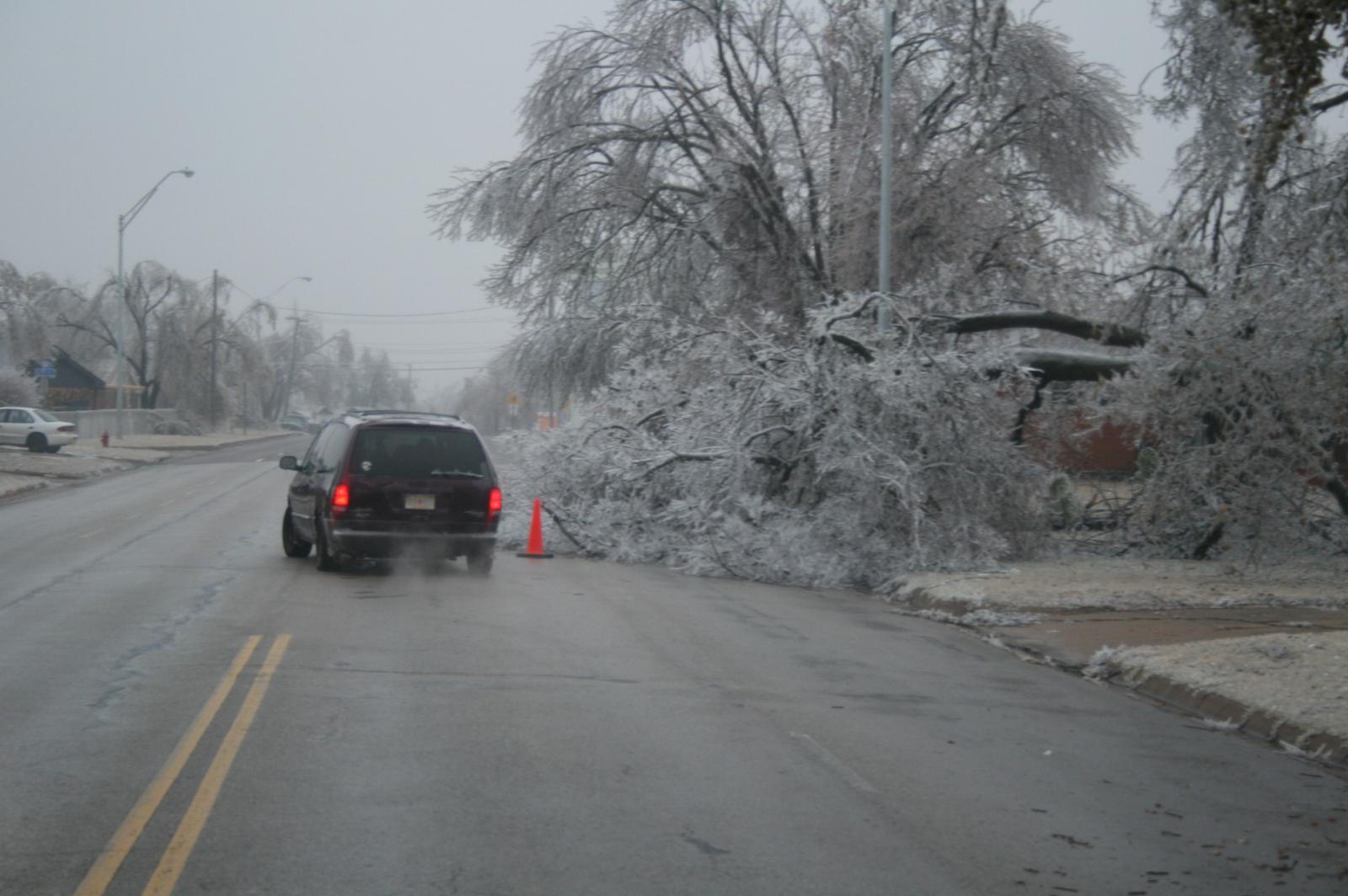 Ice Storm Photo