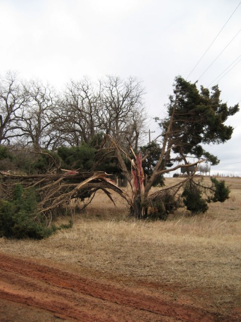 Central Oklahoma Tornado Damage Photo