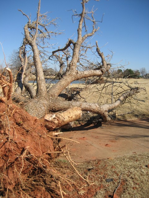 Central Oklahoma Tornado Damage Photo