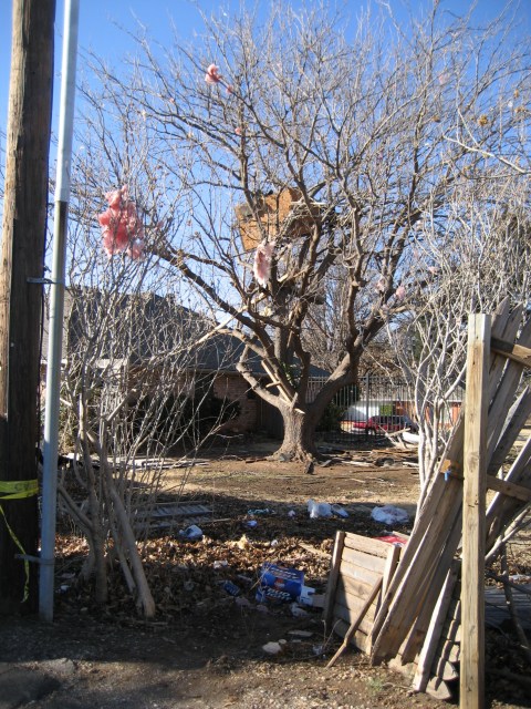 Central Oklahoma Tornado Damage Photo