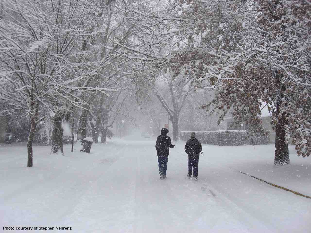 Winter Weather Photo