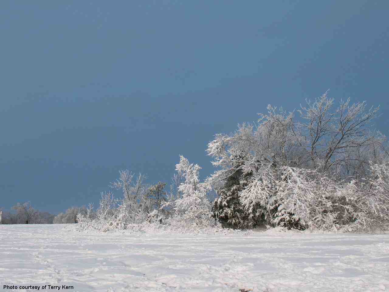 Winter Weather Photo