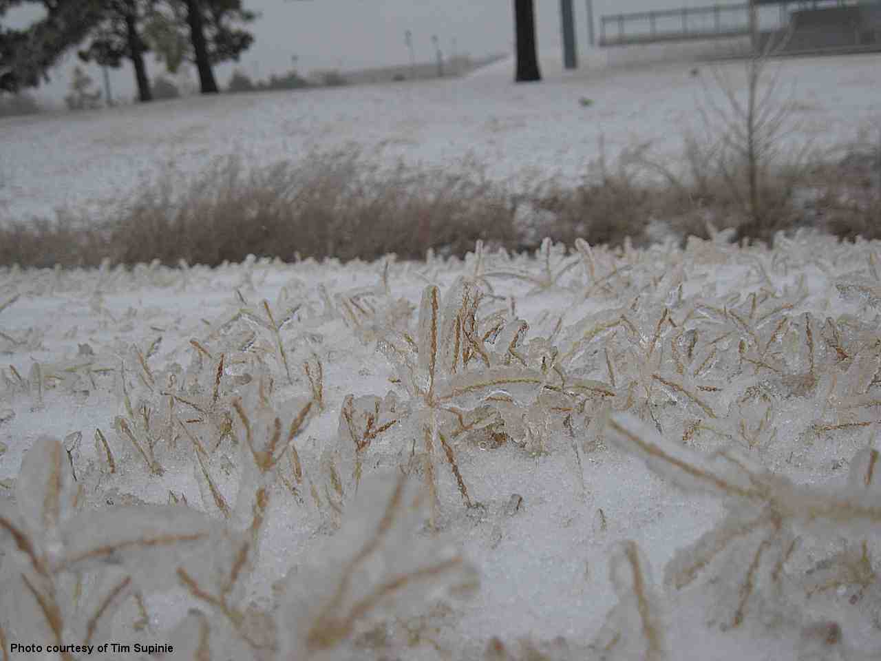 Winter Weather Photo