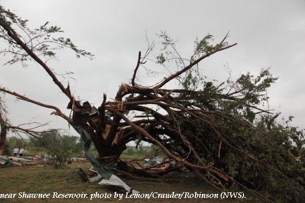 Tree damage west of Shawnee, OK