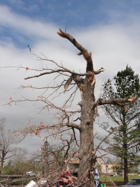 April 14, 2011 Tornado Damage Photo