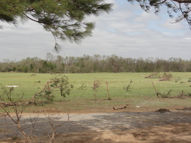 April 14, 2011 Tornado Damage Photo